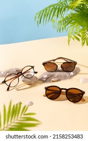 Sunglasses and glasses sale concept. Trendy sunglasses on a beach with green palm leaves. Trendy Fashion summer accessories. Copy space for text. Summer sale. Optic store discount offer poster - Shutterstock ID 2158253483