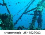 Sunken boat in the deep blue ocean. Rusty metal structure, underwater shipwreck in the ocean and swimming fish. Travel photo from scuba diving adventure, deep wreck exploration. 