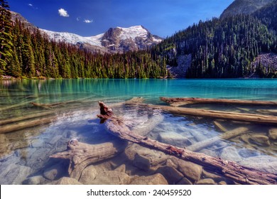 Sunken logs nestled in a bright clear snow-capped mountain lake