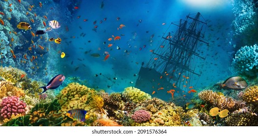 A sunken shipwreck in sea. Underwater world. Coral fishes of Red sea. Egypt. Collage