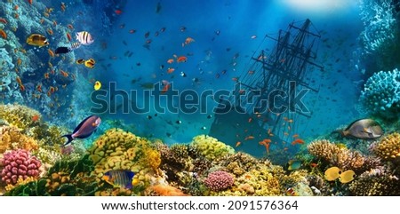 A sunken shipwreck in sea. Underwater world. Coral fishes of Red sea. Egypt. Collage