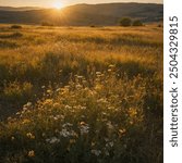 "Sun-Kissed Meadow with Wildflowers" is a picturesque scene where golden sunlight bathes a lush, open field. Vibrant wildflowers in hues of purple, yellow, and red dance gently in the breeze.