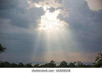 sunlight