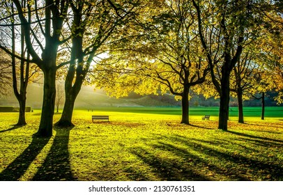 Sunlight in the autumn park. Autumn park in sunlights. Sunbeams in autumn park. Autumn park landscape