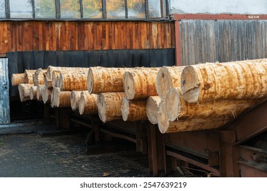 Sunlight bathes a row of freshly cut logs resting against a rustic wooden shed. The texture of the bark and the warmth of the wood contrast beautifully with the surrounding atmosphere. - Powered by Shutterstock