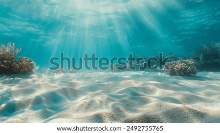 Similar – Image, Stock Photo A snorkeler in a black suit with a vibrant yellow fin peers through a diving mask, half-submerged in sunlit, clear sea water