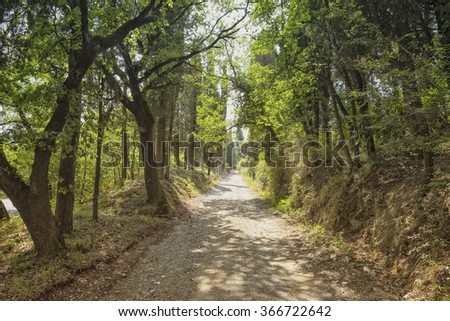 Similar – Image, Stock Photo Forest road landscape with couple riding motorbike