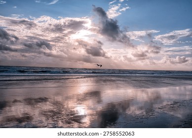 Sunlight breaks through clouds over ocean waves. Seagull glides low above glistening wet sand. Reflections ripple across shallow tide pools. Sky blends soft blues with warm, golden hues