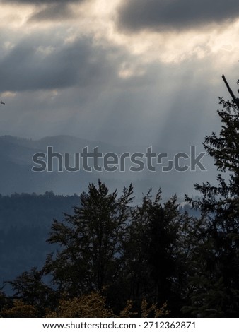 Sunlight breaks through misty mountain layers and autumn trees, creating a tranquil and moody forest scene—great for wallpapers, blogs, prints, or meditation content.