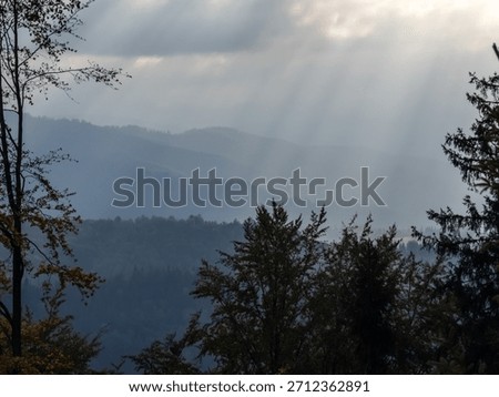 Sunlight breaks through misty mountain layers and autumn trees, creating a tranquil and moody forest scene—great for wallpapers, blogs, prints, or meditation content.