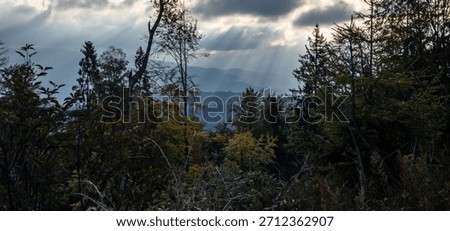 Sunlight breaks through misty mountain layers and autumn trees, creating a tranquil and moody forest scene—great for wallpapers, blogs, prints, or meditation content.