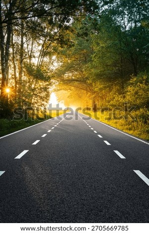 Sunlight breaks through trees along a quiet rural road in Brabant during summer. The morning casts a warm glow, highlighting the peaceful meadows and road markings. In the Netherlands
