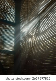 Sunlight casting dramatic shadows through a bamboo window blind, creating an abstract pattern of lines and natural textures.