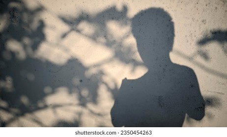Sunlight Casts a Black Shadow on the Wall of a Person Holding a Smartphone and Shadows from a Tree