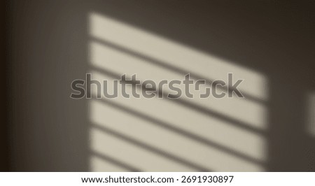 Sunlight casts sharp linear shadows onto a neutral colored wall surface
