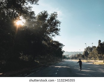 Sunlight coming through some trees by the road