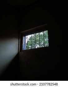 sunlight coming in through the window