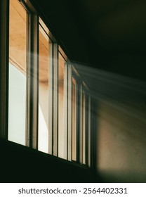 sunlight coming through the window 