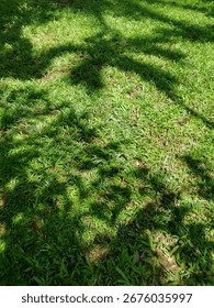 Sunlight dapples through a tree canopy, casting a beautiful, intricate pattern of shadows on a vibrant green lawn. A peaceful, natural background