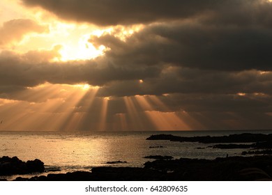 sunlight down on the sea