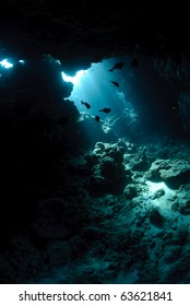 Sunlight entering from the back of an underwater cave.
