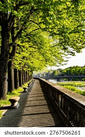 Sunlight filtering through a row of large mature trees casts long graphic shadows across a cobbled riverside walkway with stone benches and a balustrade in a city park next to a river with a bridge