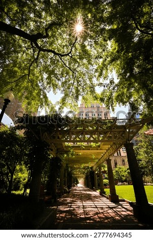 Sunlight filtering through trees above a wooden pergola walkway in Boston Public Garden, Boston, Massachusetts, USA
