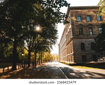 Sunlight Filtering Through Trees Next to Government Building