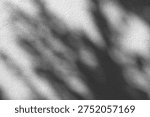 Sunlight filtering through the trees on a white wall, soft light and shadow, background material                      