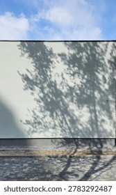 Sunlight filtering through the trees on a white wall, soft light and shadow, background material 