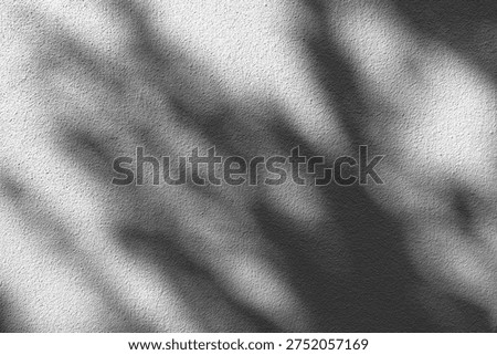 Sunlight filtering through the trees on a white wall, soft light and shadow, background material                      