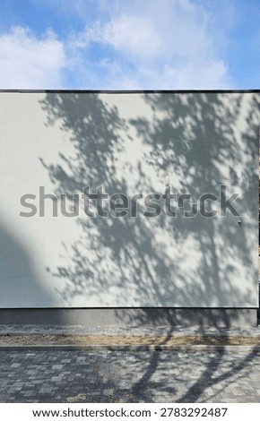 Sunlight filtering through the trees on a white wall, soft light and shadow, background material 