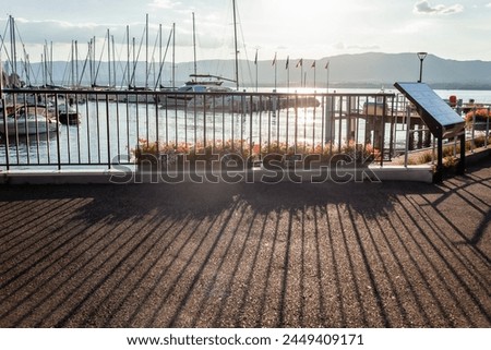 Sunlight filters through a marina on Lake Leman, casting long shadows on the pavement, while boats gently sway in the calm waters, bordered by vibrant flowers.