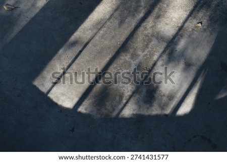 Sunlight filters through trees, casting striped shadows on a rough concrete ground, creating an abstract, natural pattern with scattered leaves