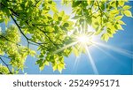 Sunlight filters through the vibrant green leaves of a tree, creating a serene and peaceful atmosphere