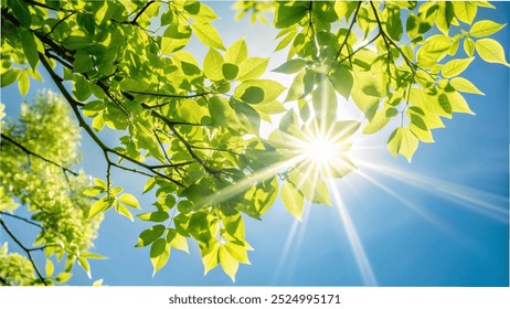 Sunlight filters through the vibrant green leaves of a tree, creating a serene and peaceful atmosphere - Powered by Shutterstock