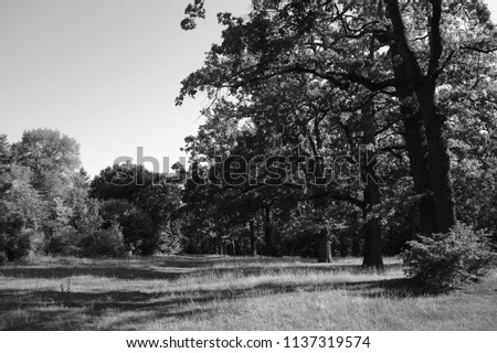 Similar – Image, Stock Photo 4 times 1ne fallow land with chimney