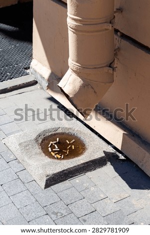 Sunlight glints off a dirty drain pipe. Water collects in a concrete catch basin. Tobacco butts lie scattered in the puddle. Paved street tiles surround the drain. Building wall shows weathered