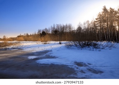 Sunlight glints off icy surface in quiet winter landscape. Snow blankets ground beneath sparse, leafless trees. Bare branches cast long shadows on frozen ground. Golden hour bathes forest edge in warm