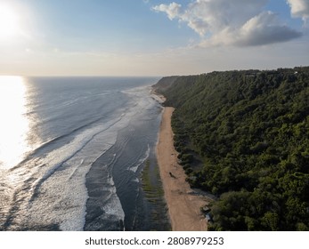 Sunlight glints off ocean waves rolling toward shore. Dunes meet dense forest along winding coastline. Silent beach holds solitary figure walking toward water. Golden hour casts long shadows over sea