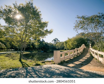 Sunlight glints through tree branches. Curved white bridge spans a calm pond. Stone path leads to the bridge. Dense green foliage surrounds the area. Clear blue sky enhances tranquility
