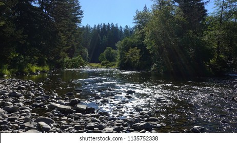 Sunlight Glitters On The Lewis River At Lewisville Park In Battle Ground, Washington                             