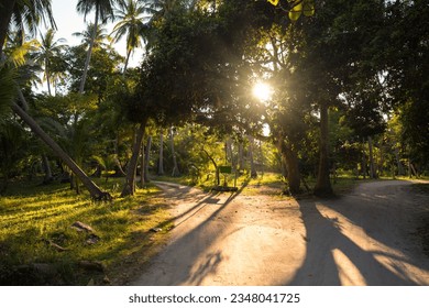 Sunlight glow through tree branches foliage in tropical country in the evening. Peaceful calm summer landscape with palms, trees, sun rays and shadows on road