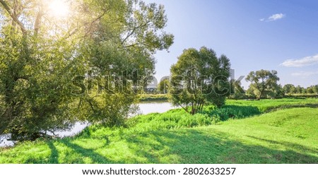 Sunlight glows through verdant trees casting dappled shadows