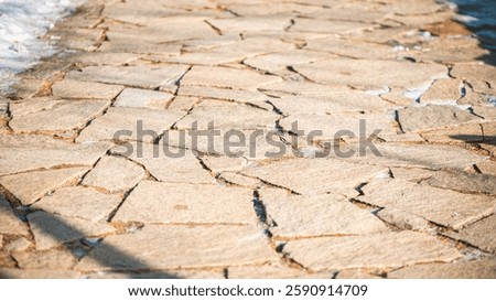 Sunlight illuminates an irregular stone paving, creating a rustic and textured pathway with varying shapes and sizes of stones, adding character to an outdoor space