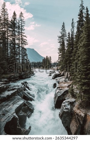 Sunlight Illuminating Waterfall and Pine Trees in Canadian Rockies