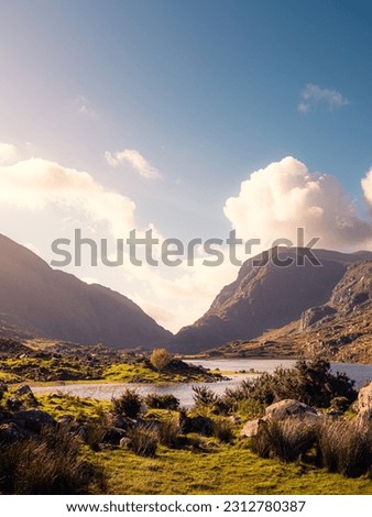 Sunlight on the Gap of Dunloe in Killarney National Park, County Kerry, Ireland. Grass fields and Black Lake are in the foreground with a lone tree. Mountains are in the background with a blue sky.