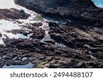 Sunlight on the rocks at Yaquina Head Outstanding Natural Area.