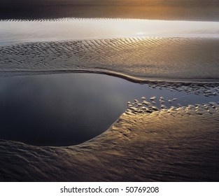 Sunlight On Tidal Flats