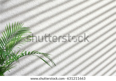 Similar – Image, Stock Photo Silhouette on Venetian blind
